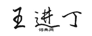 駱恆光王進丁行書個性簽名怎么寫