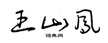 曾慶福王山鳳草書個性簽名怎么寫