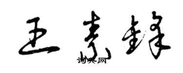 曾慶福王素鋒草書個性簽名怎么寫