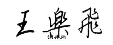 王正良王樂飛行書個性簽名怎么寫