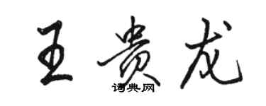 駱恆光王貴龍行書個性簽名怎么寫