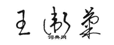 駱恆光王衛菊草書個性簽名怎么寫