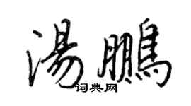 王正良湯鵬行書個性簽名怎么寫