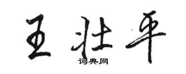 駱恆光王壯平行書個性簽名怎么寫