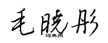 王正良毛曉彤行書個性簽名怎么寫