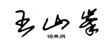 朱錫榮王山峰草書個性簽名怎么寫