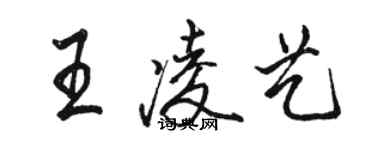 駱恆光王凌藝行書個性簽名怎么寫