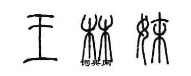 陳墨王林妹篆書個性簽名怎么寫