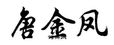 胡問遂唐金鳳行書個性簽名怎么寫