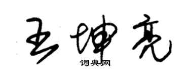 朱錫榮王坤亮草書個性簽名怎么寫