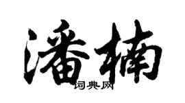 胡問遂潘楠行書個性簽名怎么寫