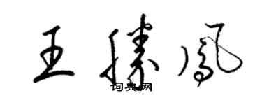 梁錦英王勝鳳草書個性簽名怎么寫