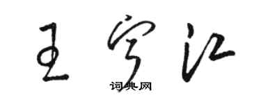 駱恆光王寧江草書個性簽名怎么寫