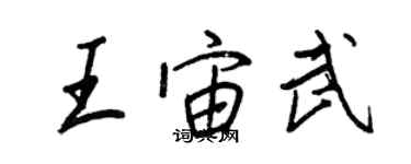 王正良王宙武行書個性簽名怎么寫