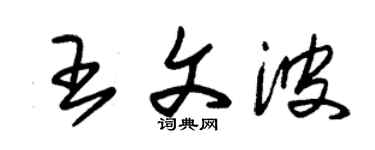 朱錫榮王文波草書個性簽名怎么寫
