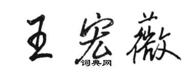 駱恆光王宏薇行書個性簽名怎么寫
