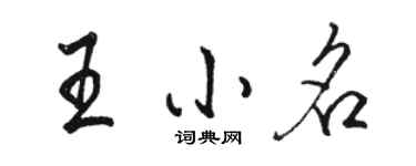 駱恆光王小名行書個性簽名怎么寫