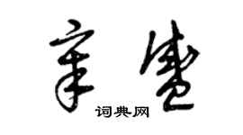 曾慶福章盛草書個性簽名怎么寫