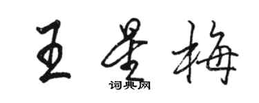 駱恆光王星梅行書個性簽名怎么寫