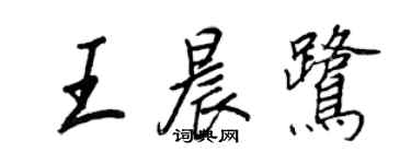 王正良王晨鷺行書個性簽名怎么寫