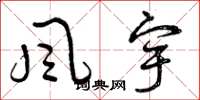 曾慶福風宇草書怎么寫