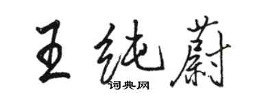 駱恆光王純蔚行書個性簽名怎么寫