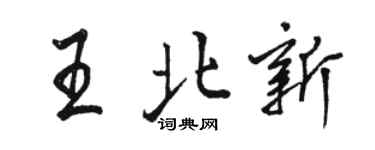 駱恆光王北新行書個性簽名怎么寫