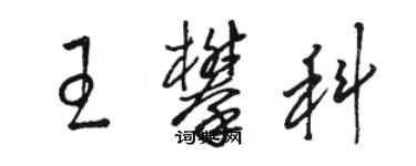 駱恆光王攀科草書個性簽名怎么寫