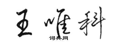 駱恆光王唯科行書個性簽名怎么寫