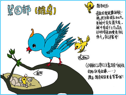 長尾藍鵲(配畫)_長尾藍鵲(配畫)作文