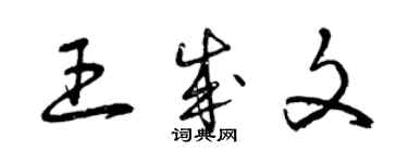 曾慶福王成文草書個性簽名怎么寫