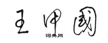 駱恆光王甲國草書個性簽名怎么寫