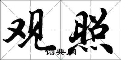 胡問遂觀照行書怎么寫