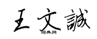 王正良王文誠行書個性簽名怎么寫