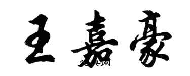 胡問遂王嘉豪行書個性簽名怎么寫