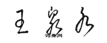 駱恆光王泉水草書個性簽名怎么寫