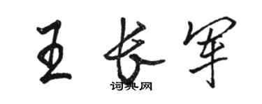 駱恆光王長軍行書個性簽名怎么寫