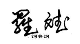 朱錫榮羅斌草書個性簽名怎么寫