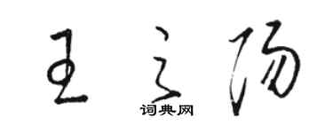 駱恆光王之陽草書個性簽名怎么寫