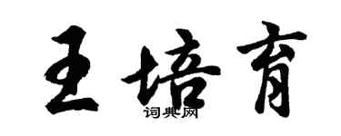 胡問遂王培育行書個性簽名怎么寫