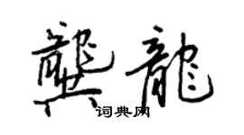 王正良龔龍行書個性簽名怎么寫