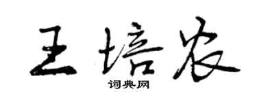 曾慶福王培農行書個性簽名怎么寫