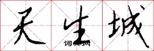 天生城怎么寫好看