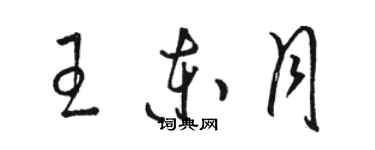 駱恆光王東月草書個性簽名怎么寫