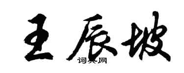 胡問遂王辰坡行書個性簽名怎么寫