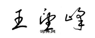 梁錦英王望峰草書個性簽名怎么寫