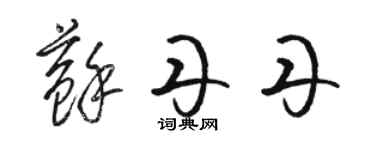 駱恆光蘇丹丹草書個性簽名怎么寫