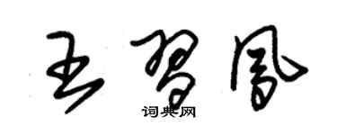 朱錫榮王習鳳草書個性簽名怎么寫