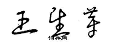 曾慶福王望芽草書個性簽名怎么寫