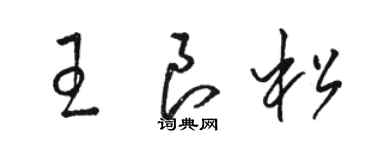 駱恆光王良松草書個性簽名怎么寫